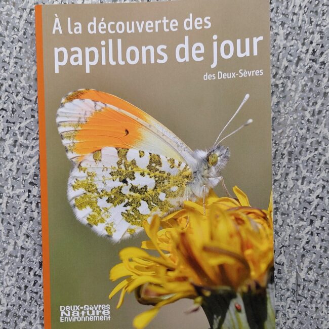 Livret à la découverte des papillons pour DSNE