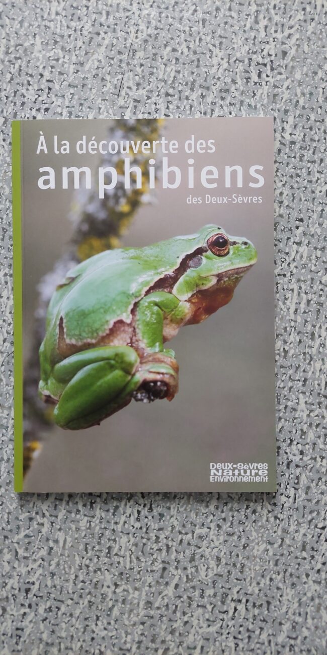 Livret à la découverte des amphibiens