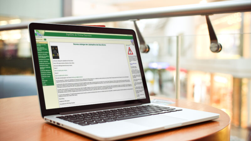 Mise à jour site internet papillons poitou-charentes ancienne version