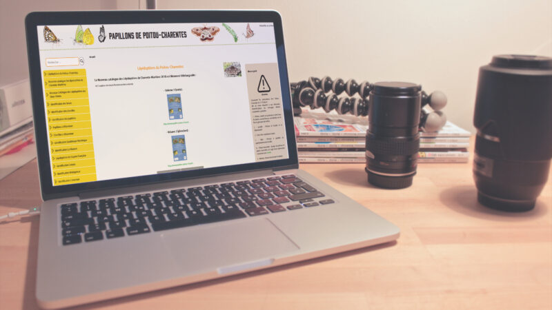 Mise à jour site internet papillons poitou-charentes nouvelle version